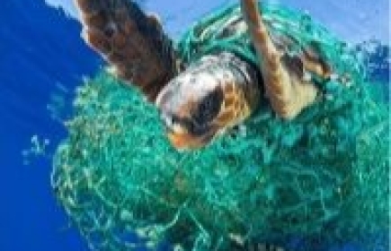 Der Verein Mare Nostrum - End Plastic Soup entstand durch die Initiative einiger Rotarierinnen und Rotarier aus dem Raum Basel
